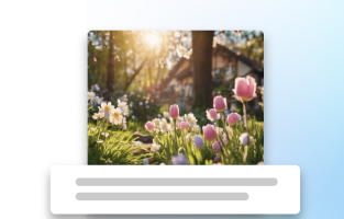 imagemaker